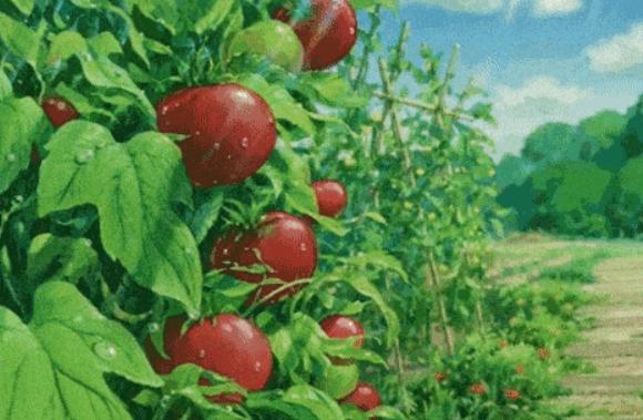 绉戞妧瑙ｇ爜浠庢瘨鏋滃埌缇庡懗鐣寗,浠庢瘨鏋滃埌缇庡懗鐣寗