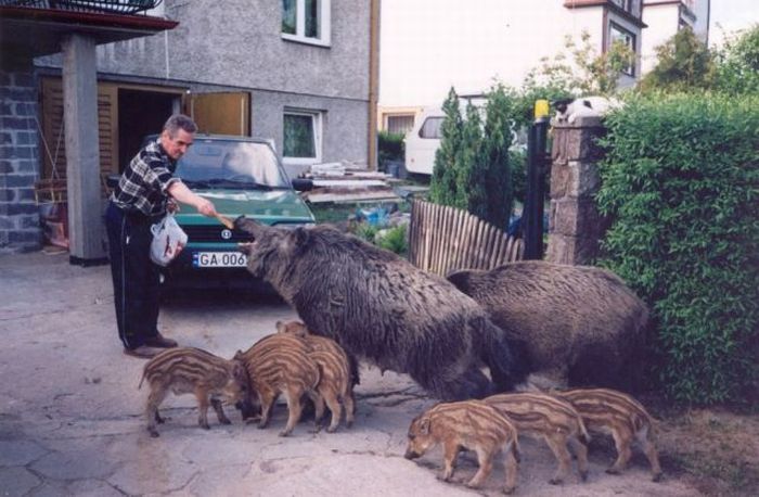 100个难得一见照片,难得一见12张照片