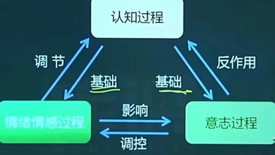 心理学基础第1章第2章笔记,心理学与教育心理学概述总结
