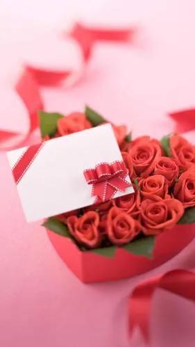 520浪漫玫瑰花壁纸,红玫瑰花壁纸大图