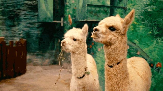 世界旱极是指哪里的,世界四十年不下雨的地方