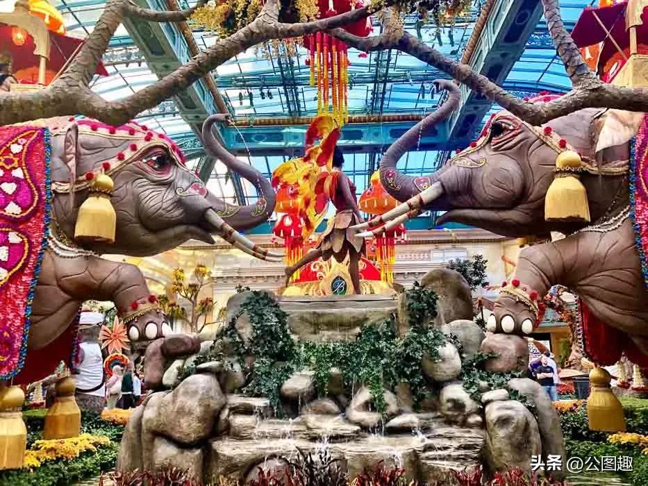 中国女旅行家,世界上最美五十个城市