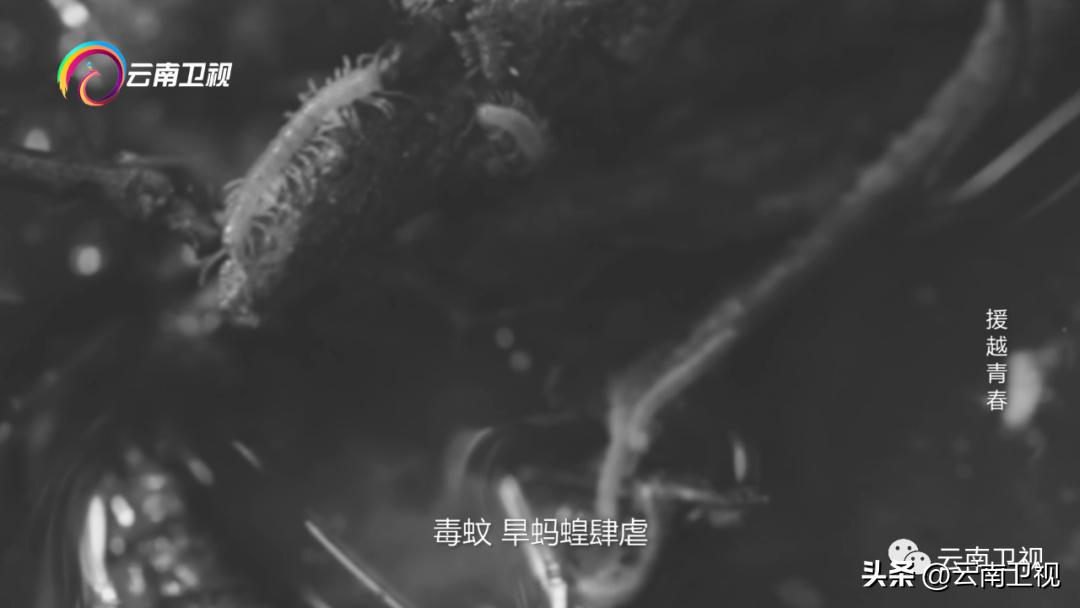 援越青春，云南卫视《经典人文地理》今晚21:42播出！