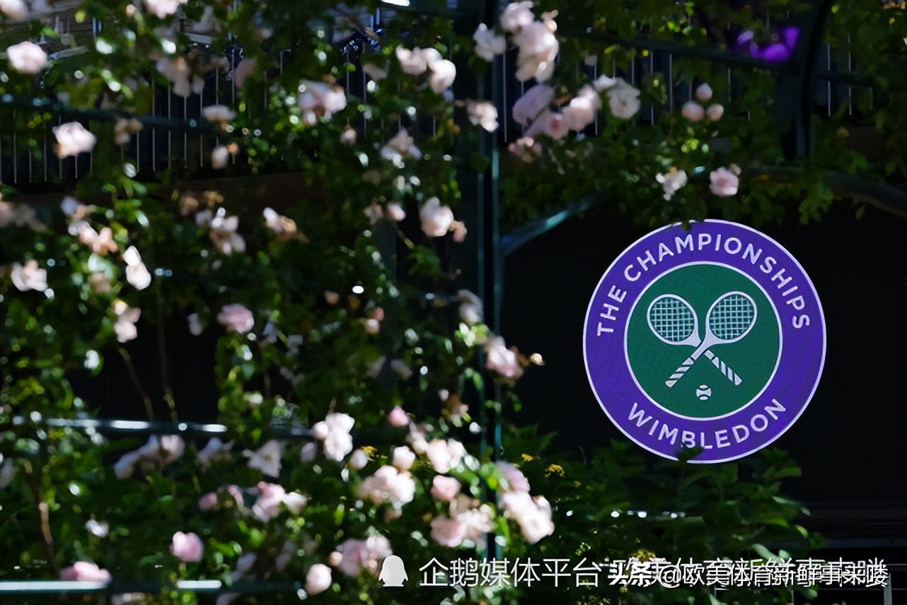 2023温网德约科维奇比分,费德勒和纳达尔德约科维奇小威