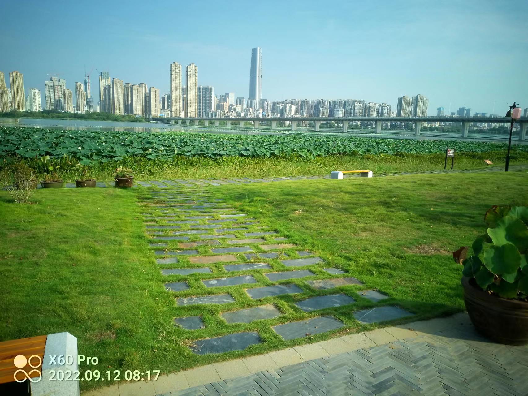 漫步沙湖，秋夜赏景文/郑汉兵