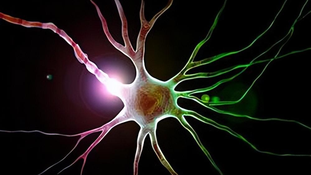 为什么有些人出现胸口“刺痛”几秒？这是心脏病吗？看完涨知识了