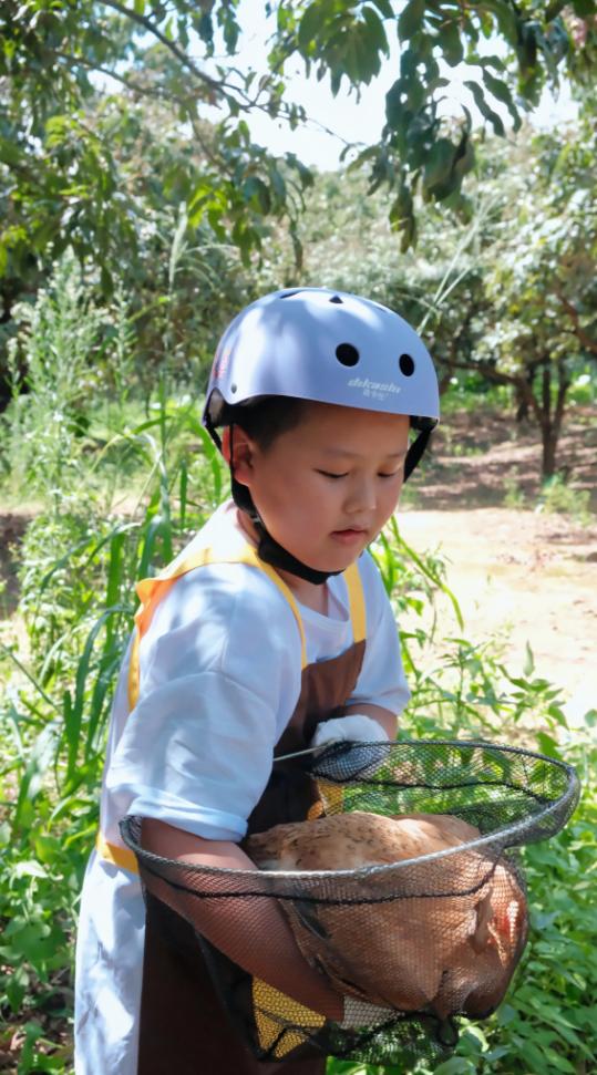 端午假期光明活动超精彩！音乐live、摘荔枝、包粽子……等你解锁！