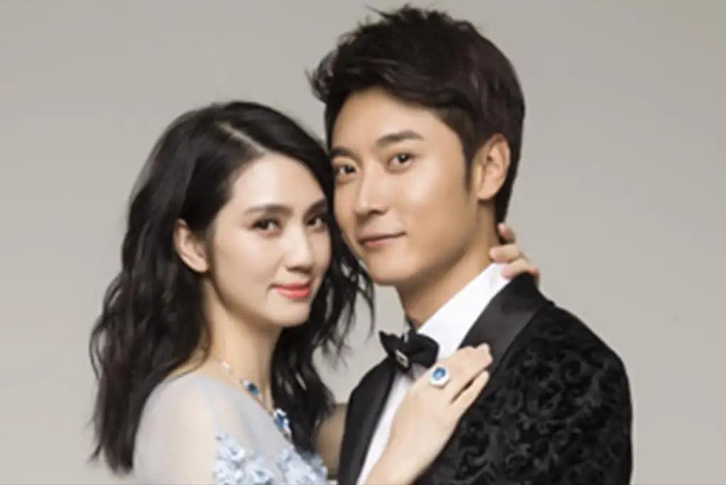 洪欣刚出道,洪欣在娱乐圈地位