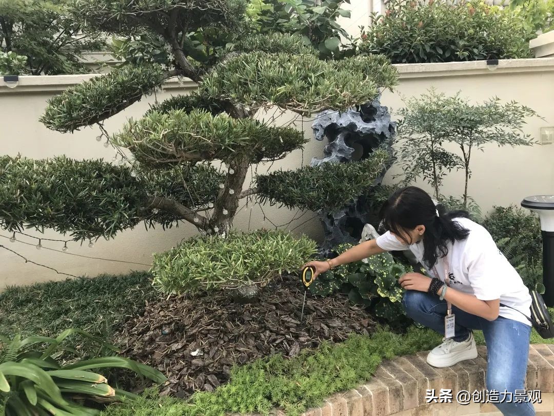 周末回访老客户的文案,回访老客户的主题