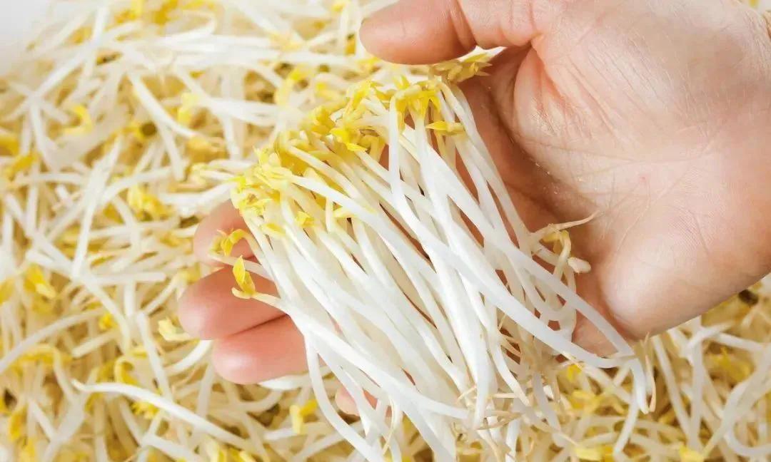 揭秘民间不起眼的暴利小生意利润,农村不起眼的暴利小生意