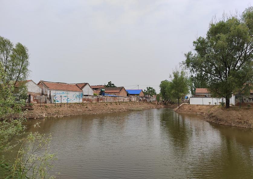 肥乡农村废弃坑塘改造公园案例,废弃坑塘变良田视频