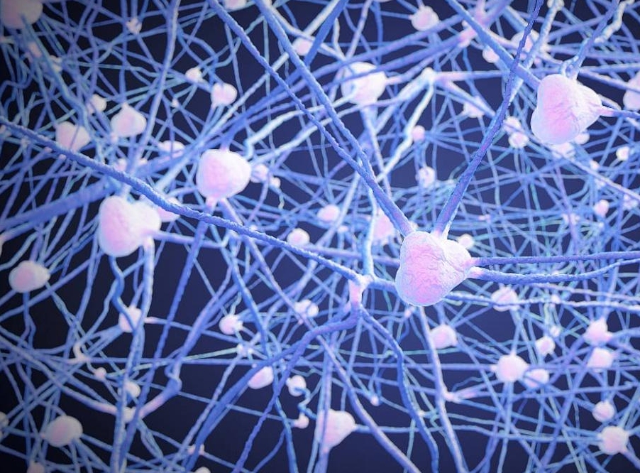 致死率100%！朊病毒烹煮杀不死，无药可救，感染后究竟有多恐怖？