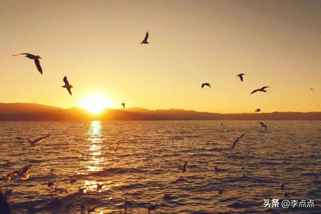 云南旅游疫情最新通报,疫情下的云南旅游