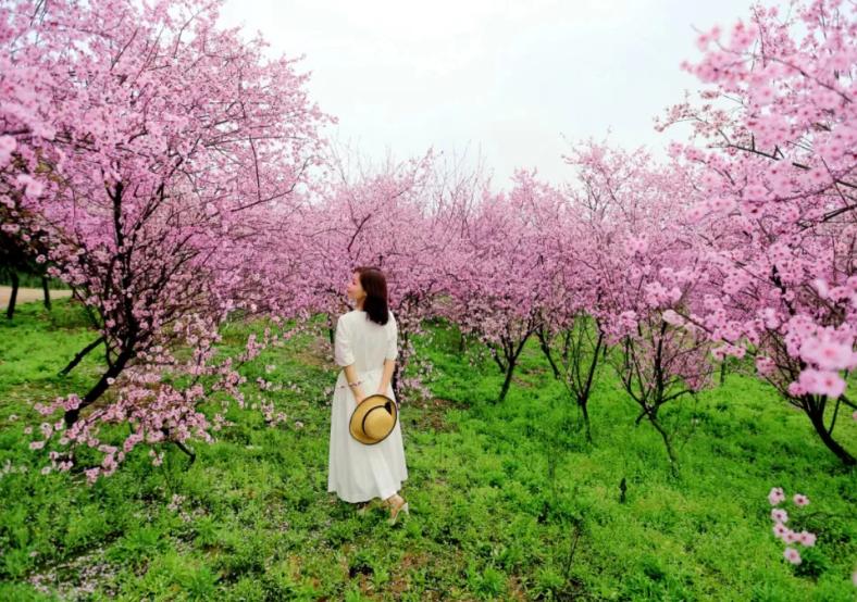 春日正好莫负春光,春日诗集大赏