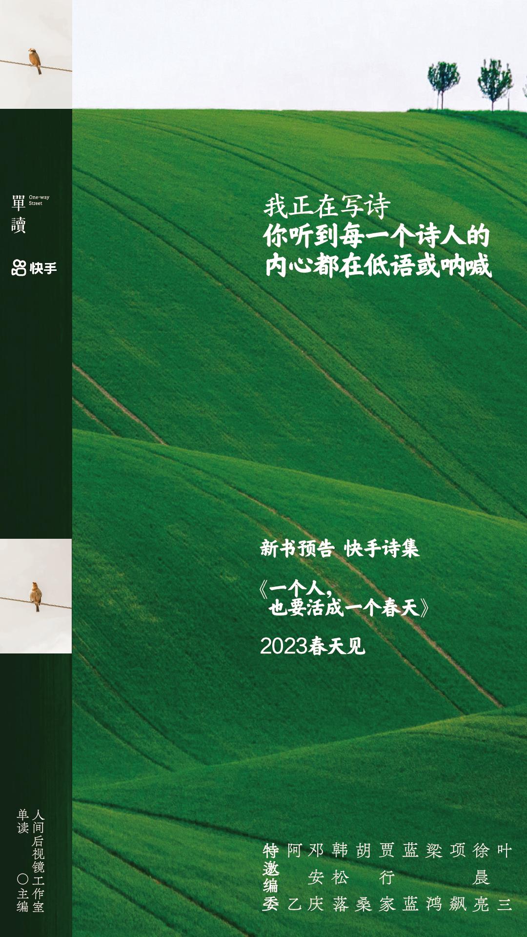 2023才过半，这15张海报已经高分上岸