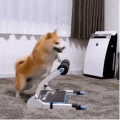 可以吊打付费模组的免费模组,建议收藏吊打付费的几款神级软件