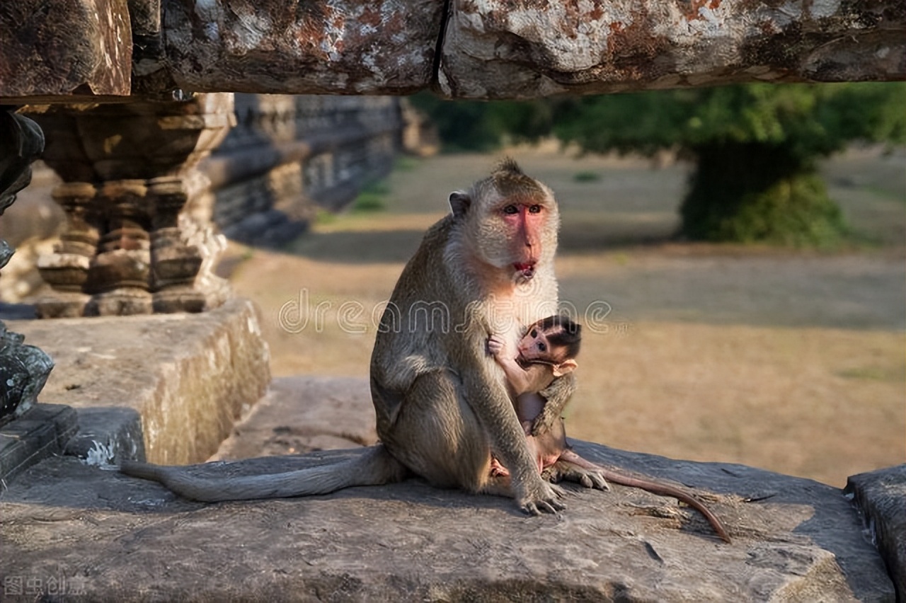 “那个奶奶真丑！”娃口无遮拦令人尴尬，从3处着手轻松提升情商