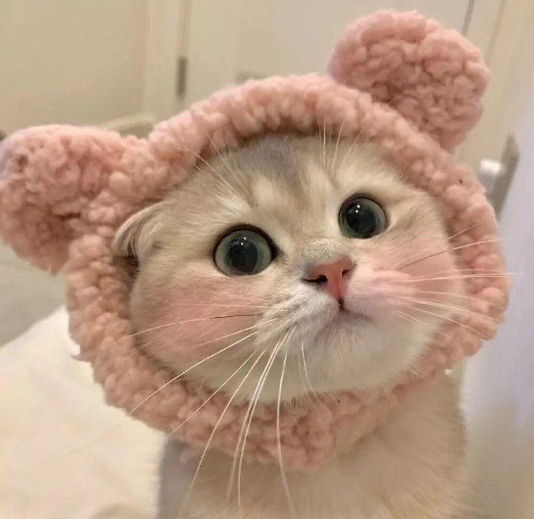 京东唯品会发展趋势,京东和唯品会哪个有未来