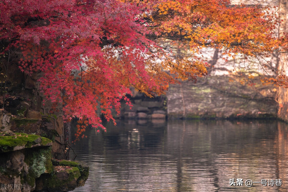 江湖夜雨十年灯陆游最著名的七律,陆游的诗两句