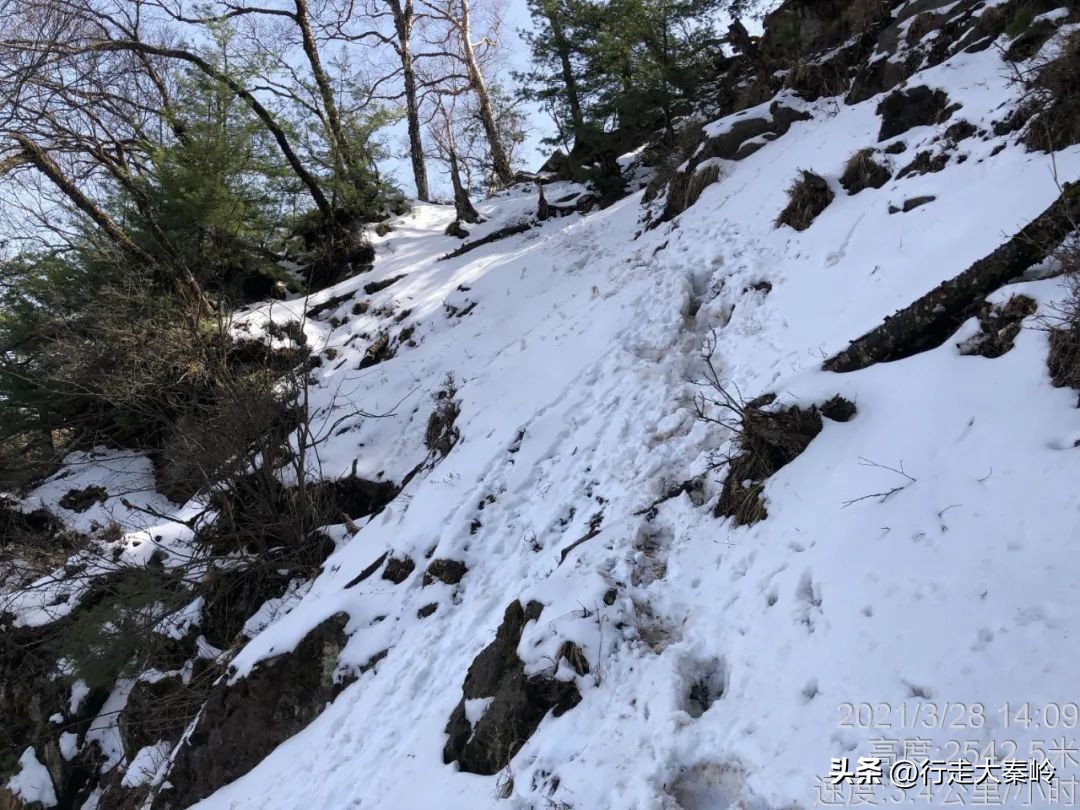首阳山穿越大坪梁景色怎么样,大坪梁穿越到首阳山攻略