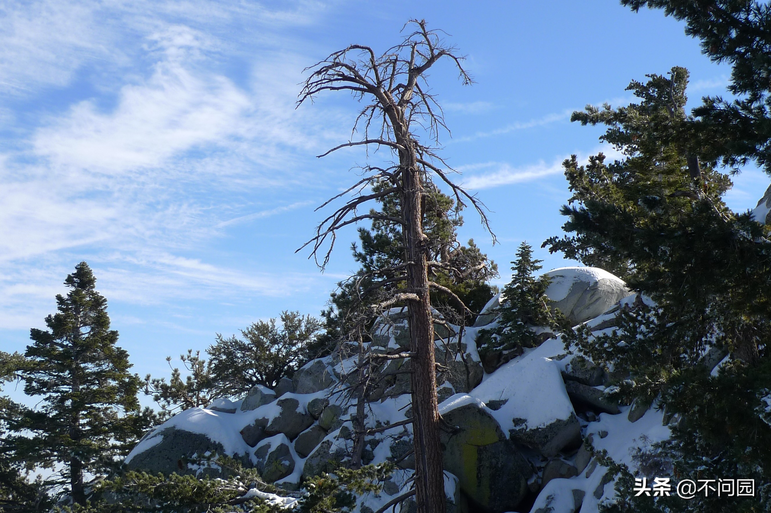 棕榈泉缆车,美国加州棕榈泉缆车