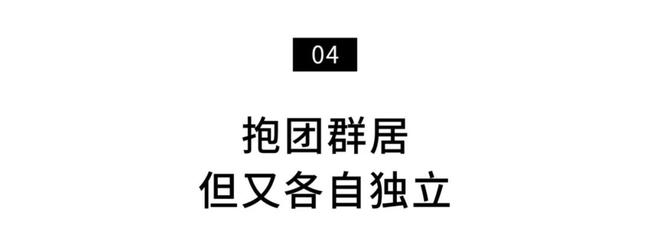 一种境界一种胸怀,独处的唯美境界