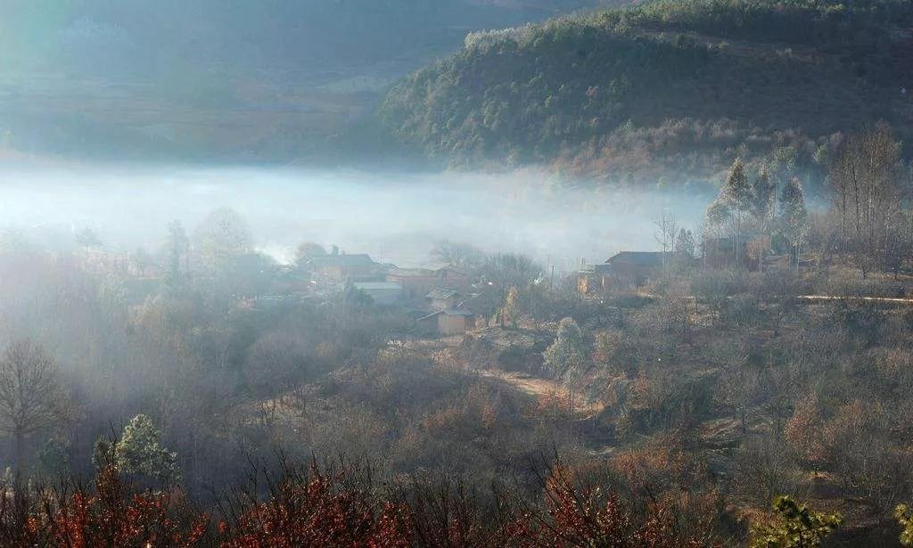 头条挑战赛：对《七律·秋叶即景（平水韵/六麻）》的注引解释