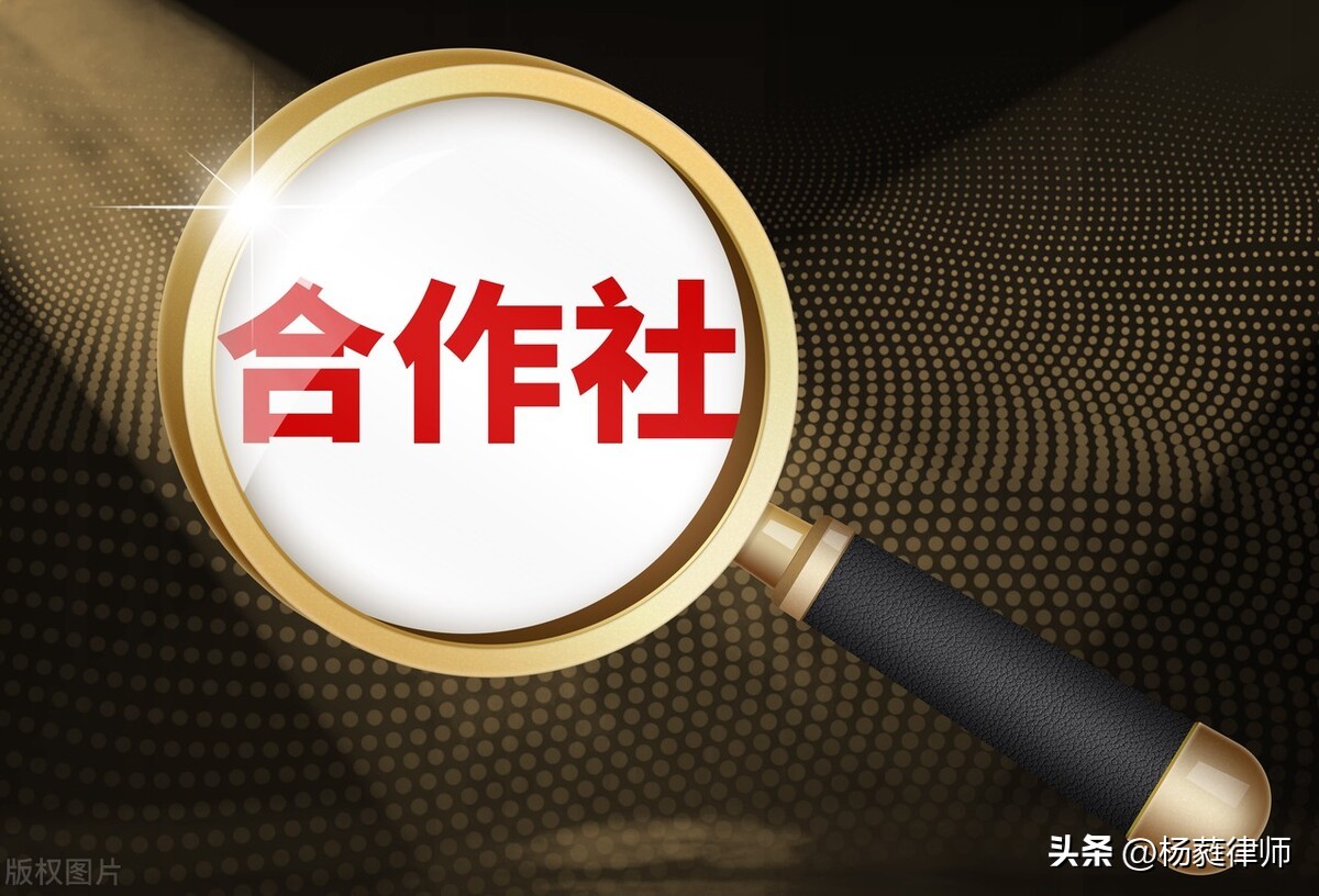 农民专业合作社法解读,农民合作社在乡村振兴中的影响