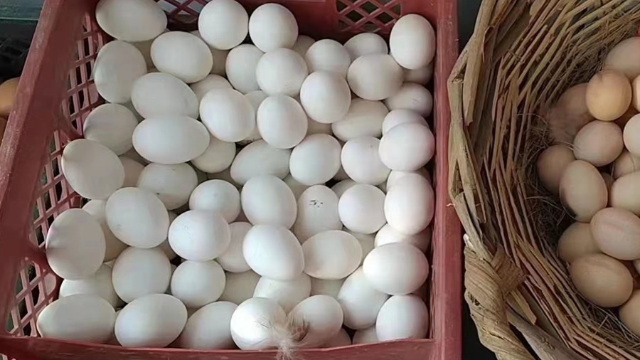 菜市场里的东西都是坑人的吗,去菜市场千万不要买这几种东西