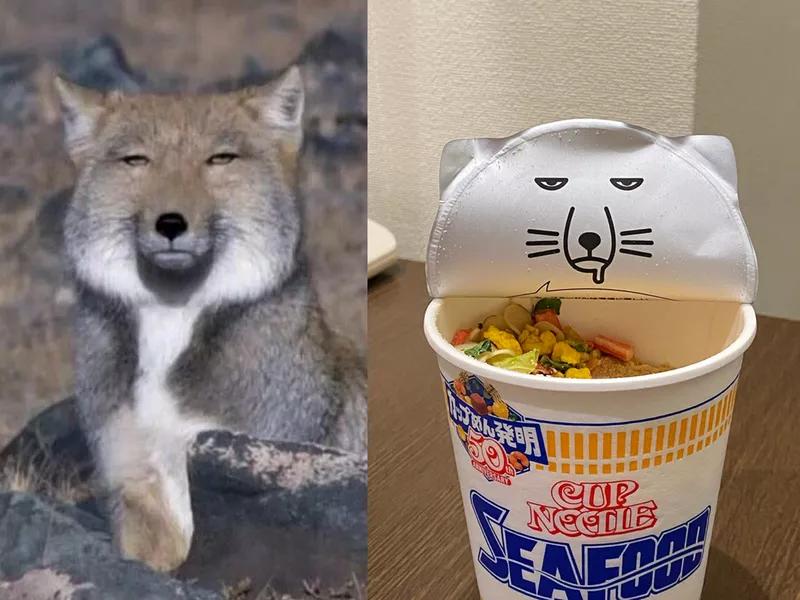 日本日清辛辣杯面,日清杯面鼻祖