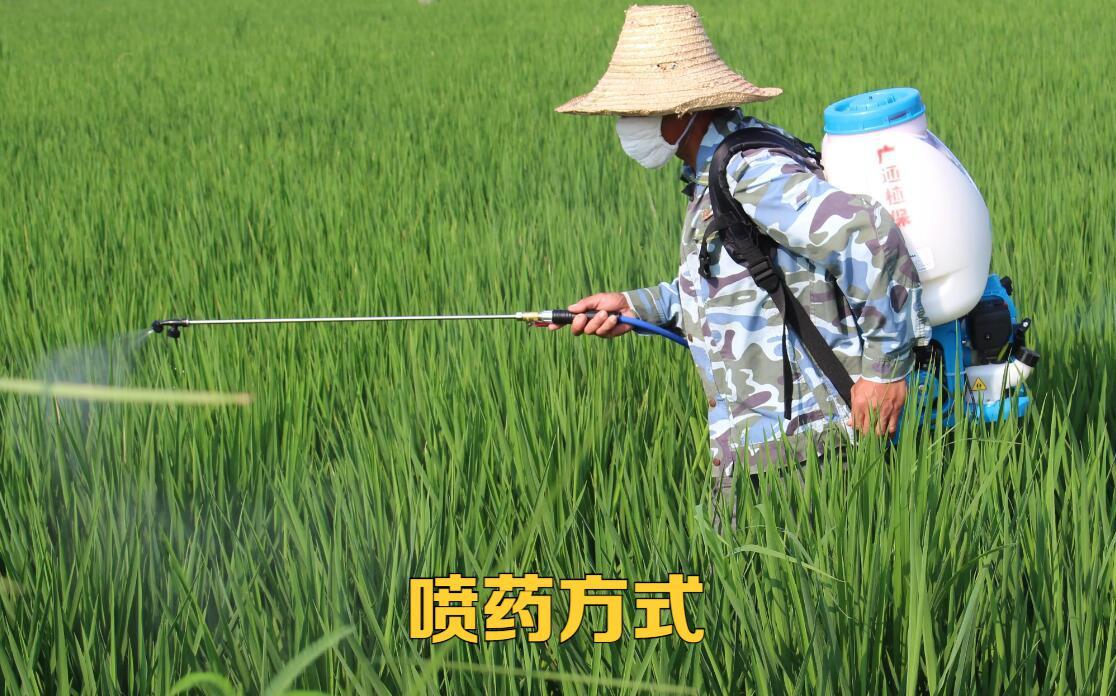 壳聚糖抑制作物病害案例,壳聚糖在植物上怎么用