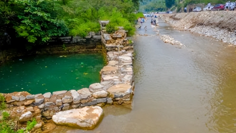 济南郁金香网红打卡地,济南网红打卡地景点