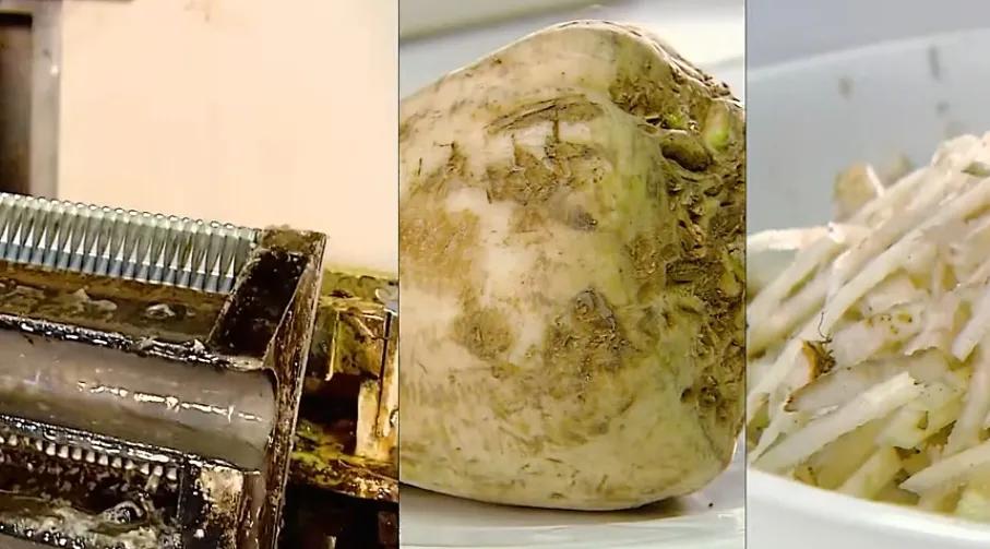 甜菜白糖和甘蔗白糖的价格区别,甘蔗和甜菜提炼的白糖哪个好