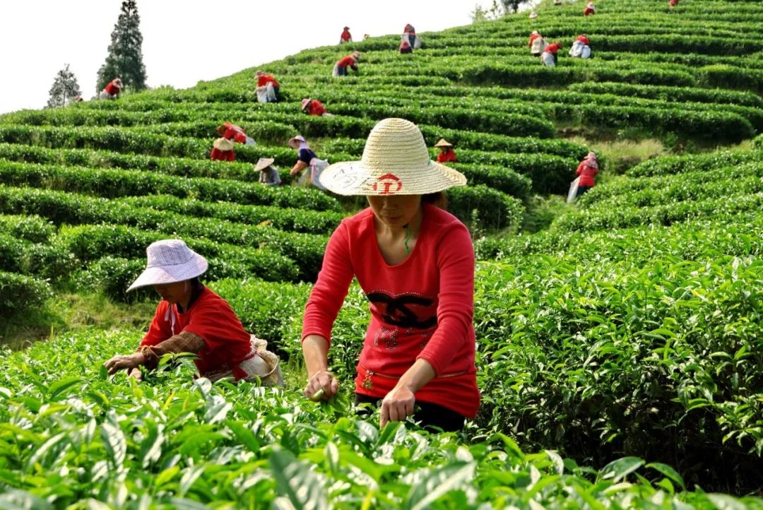 母亲节将至,送上这些长辈们都夸的“闽味侯礼”,孝顺又贴心!