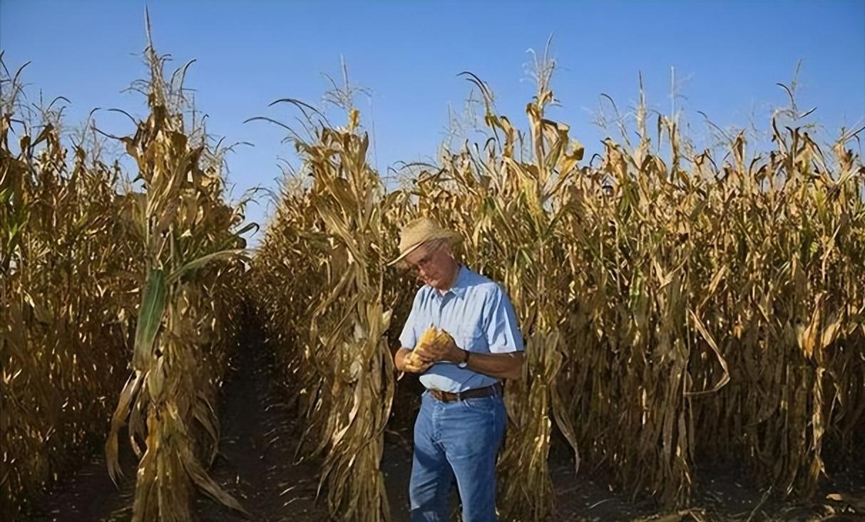 俄开发海参崴对俄国影响,俄罗斯向我国开放海参崴港口吗