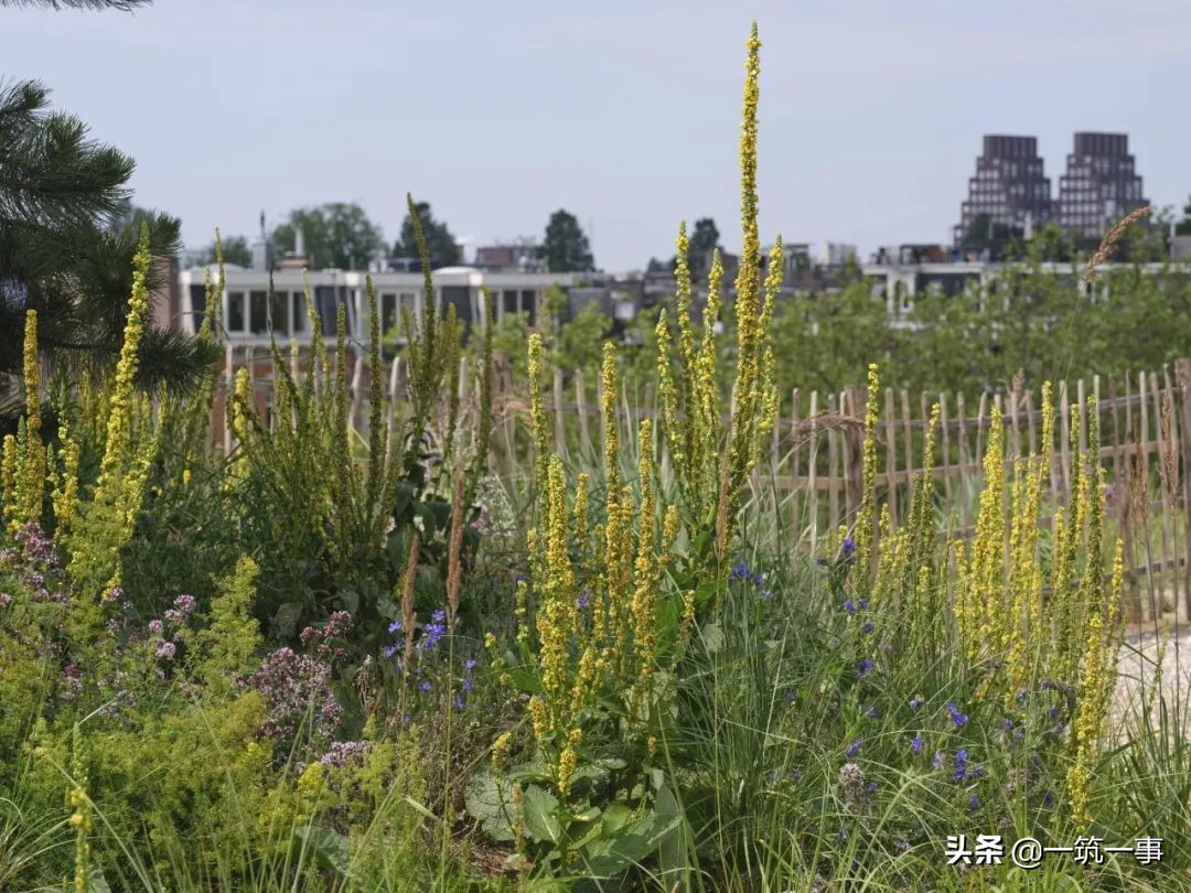 带你看六款奇葩的房屋建筑,法式建筑房顶设计效果图大全