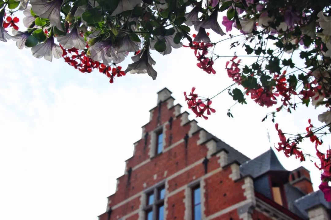 开车去欧洲第25集：同性婚姻、安乐死合法的西欧小国，了解一下？