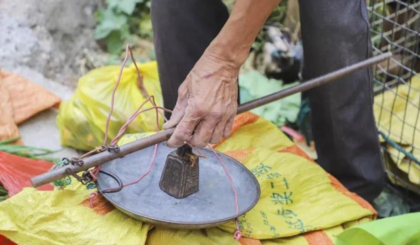 电子秤真正的实用,电子秤便宜的和贵的有什么区别
