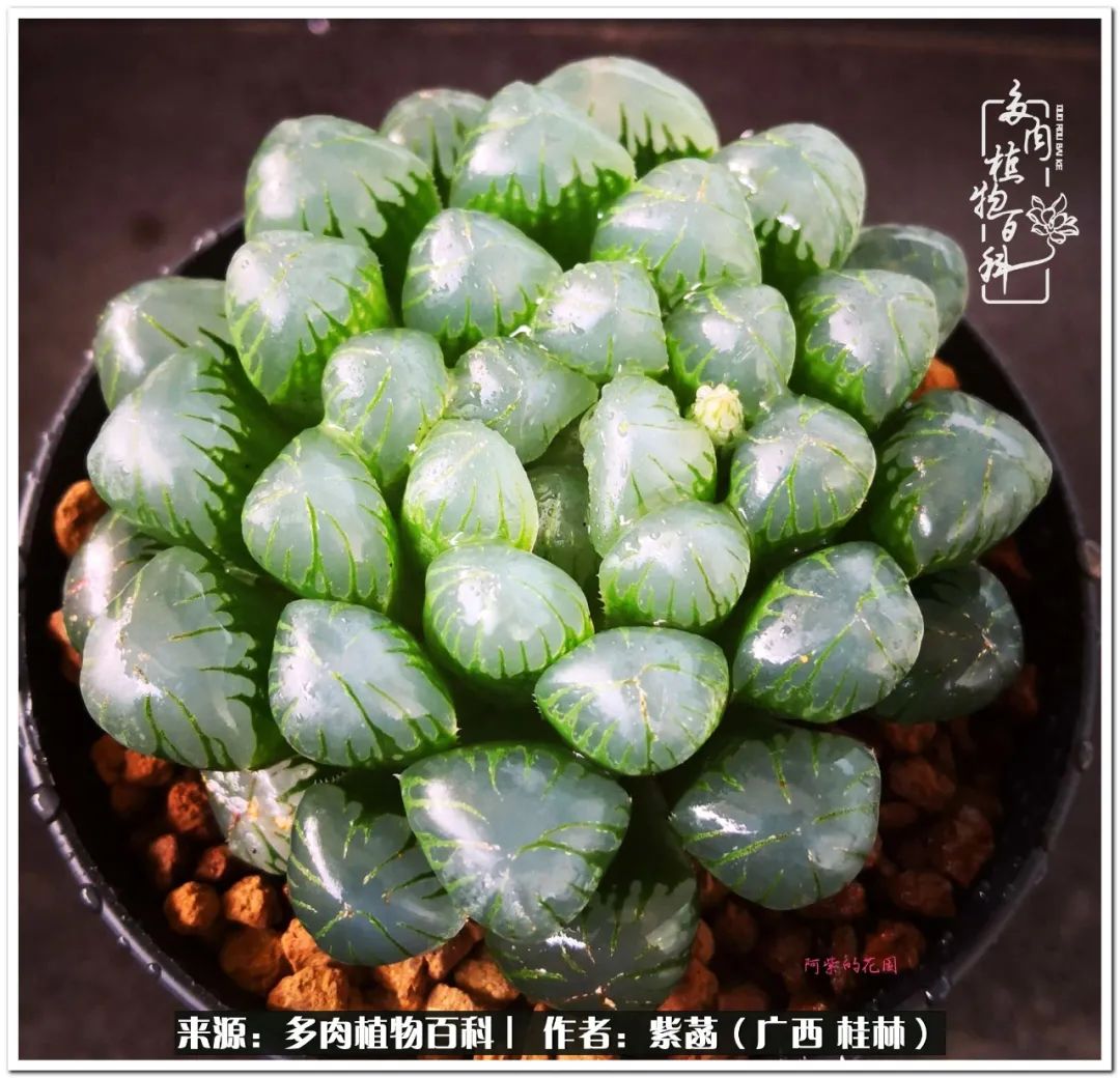 酷暑里的关爱，如十二卷般透亮绵长