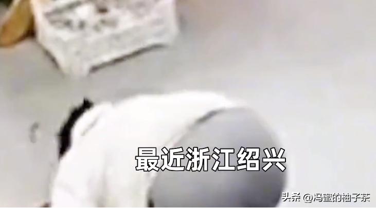 女子为200块买鞋下跪父母,女子为买鞋下跪父母