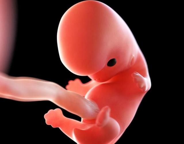 孕期1-10个月注意事项,孕期准备宝宝用品清单