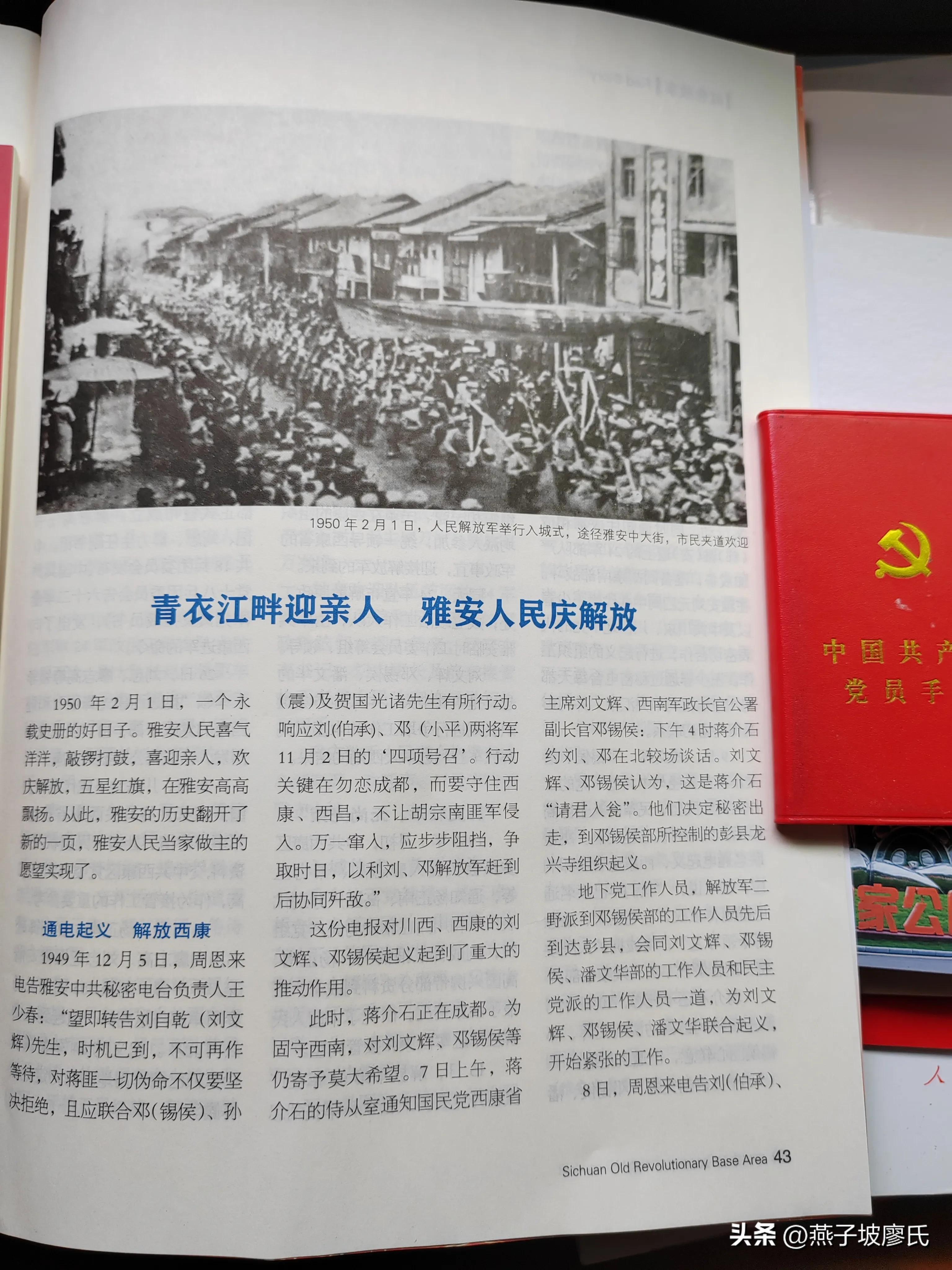 心情舒畅文章,让你心情舒畅的美文