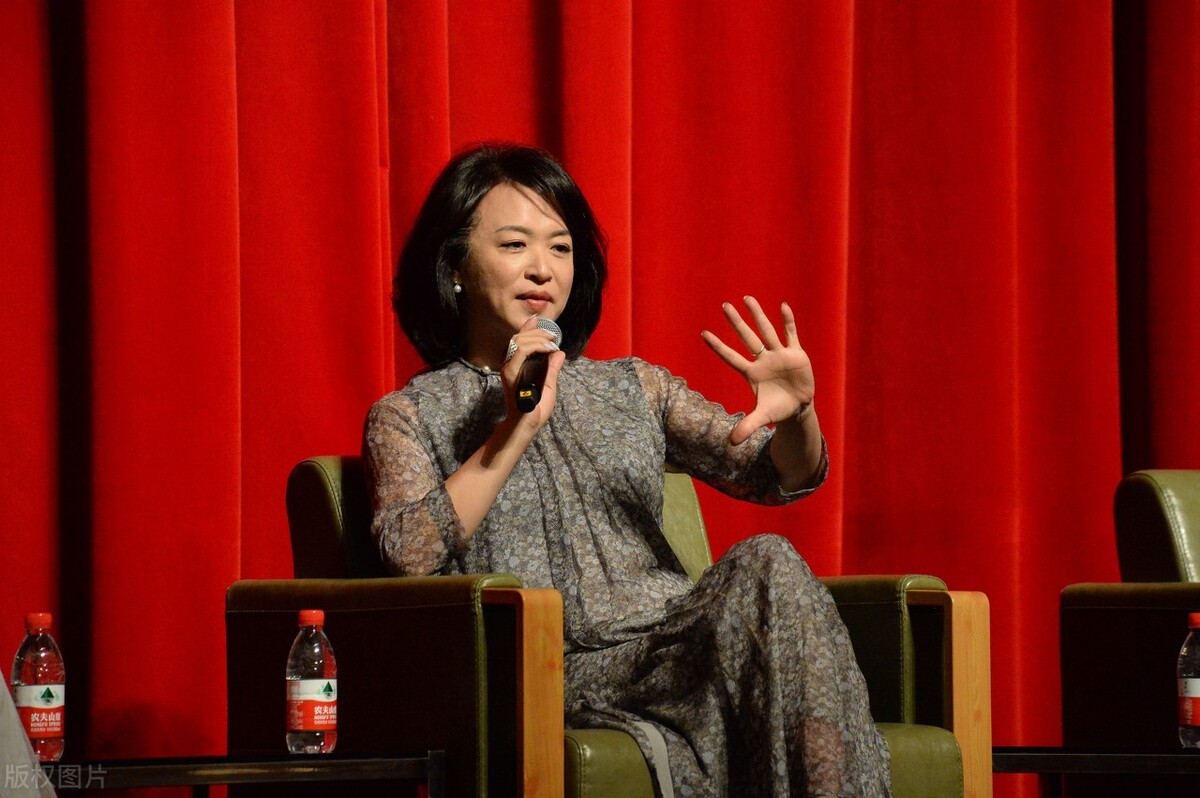 潘石屹被爆家底,潘石屹现在经济现状