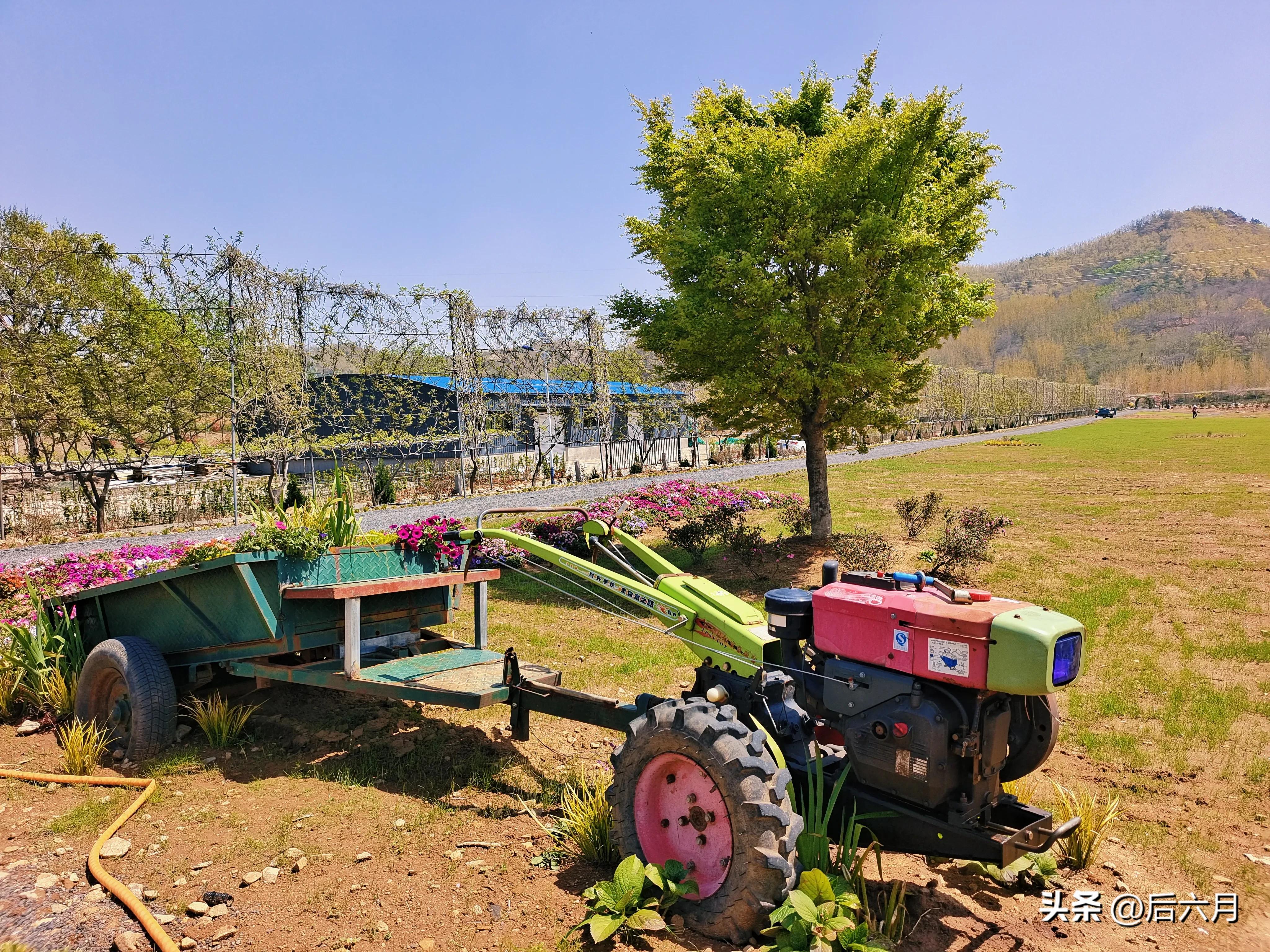 途游西海岸l无比方花园，杨家山里新添网红打卡地