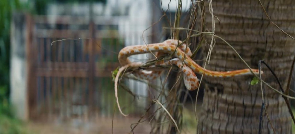 消失的她票房破20亿解说,消失的她票房35亿代表什么