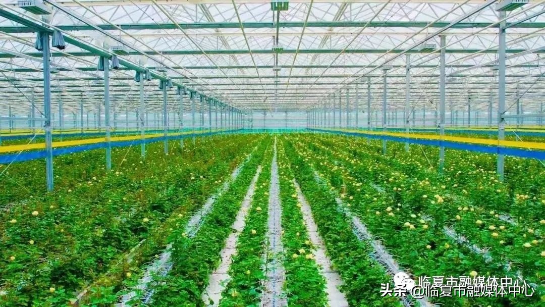 为高质量发展高质量跨越贡献力量,为高质量发展开好局