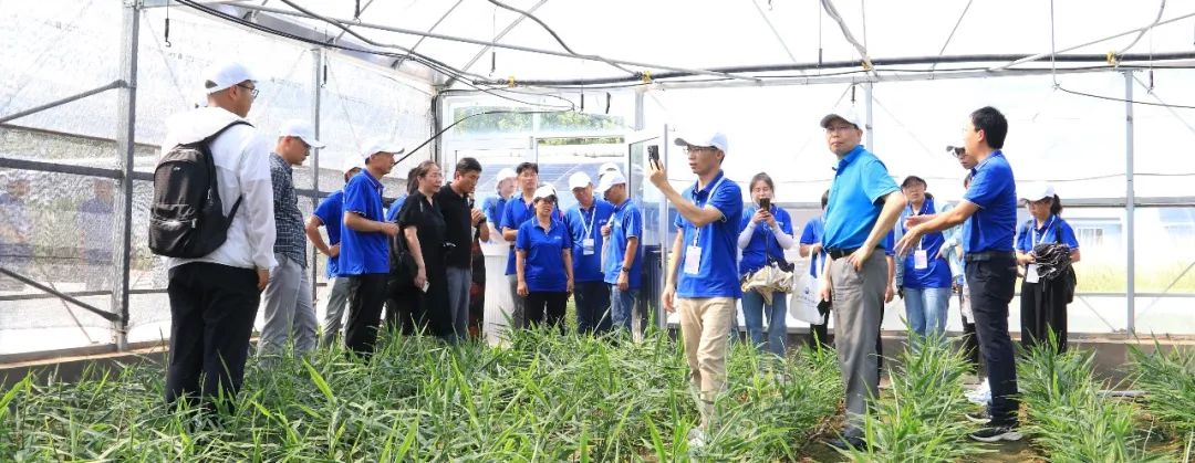 北京大学现代农业研究院首届分子育种研修班（MBA）综合报道