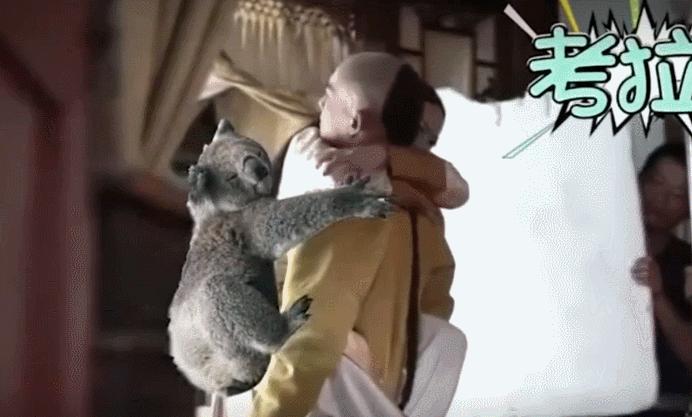 吴谨言最近爆料,吴谨言最新舞台乘风破浪