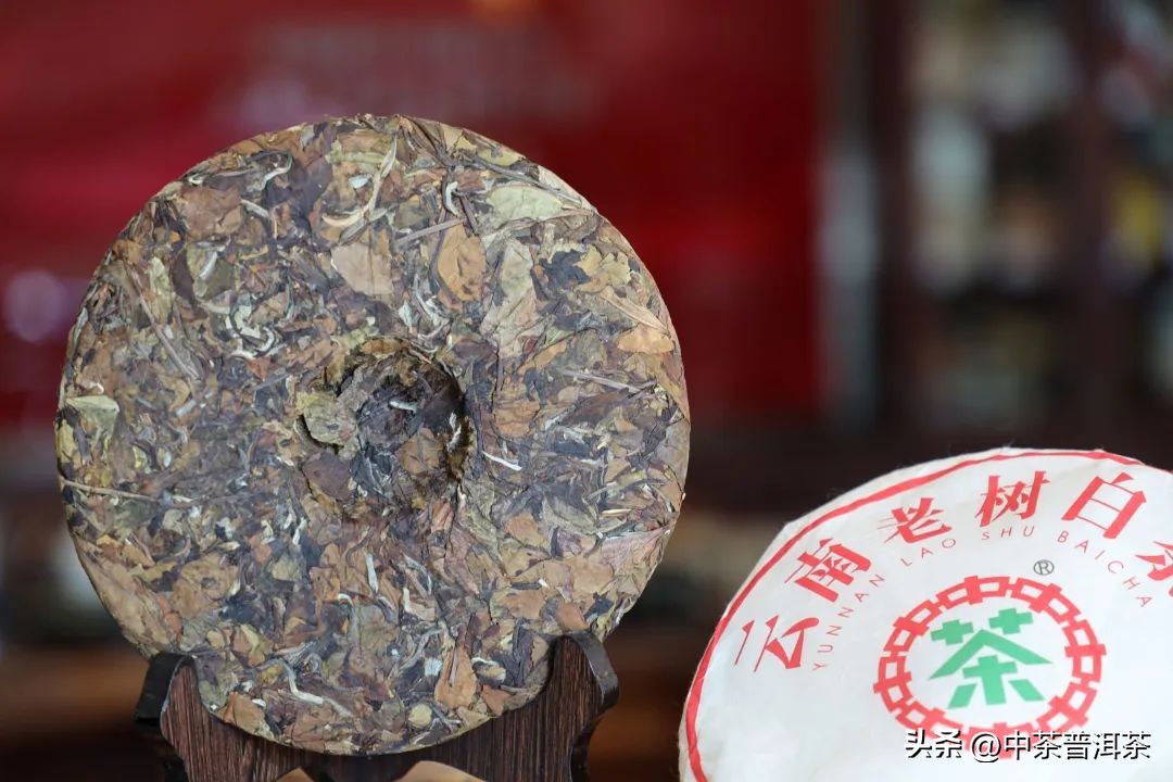 茶友评测,中茶福鼎白茶蝴蝶牌老树白茶