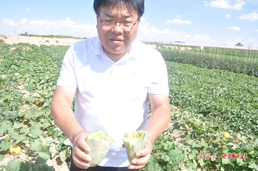 撂荒地治理措施及成效,撂荒地整治有哪些难题